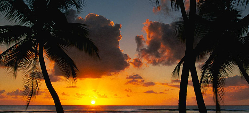 富有魅力的电话轰炸平台